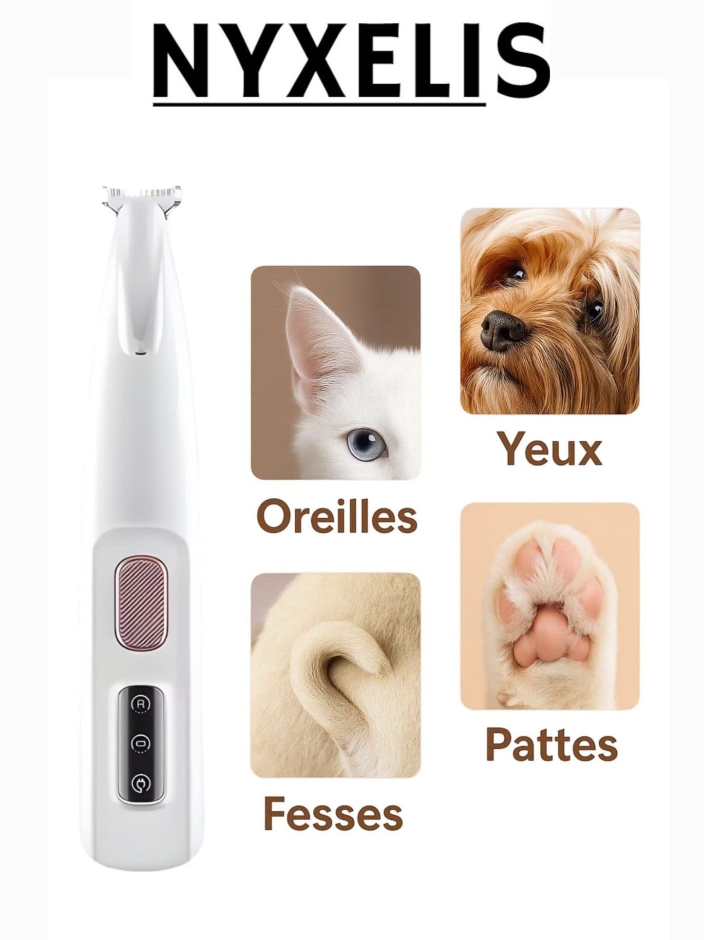 Tondeuse Sécurisée pour Animaux